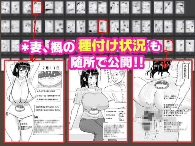 「妻、楓の種付け状況も随所で公開!!」のプロモーション画像。3つのパネルに赤枠。左パネルに楓の裸体と7月11日の種付けデータ(父8回、夫1回)。中央パネルに楓が座って義父と会話。右パネルに温泉旅行記と精液が楓から垂れているアップ。各パネルに子宮内受精活動の統計データが表示されている。